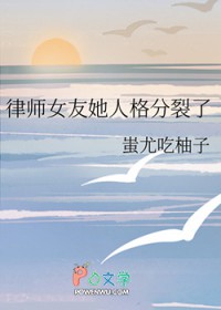 律师女朋友